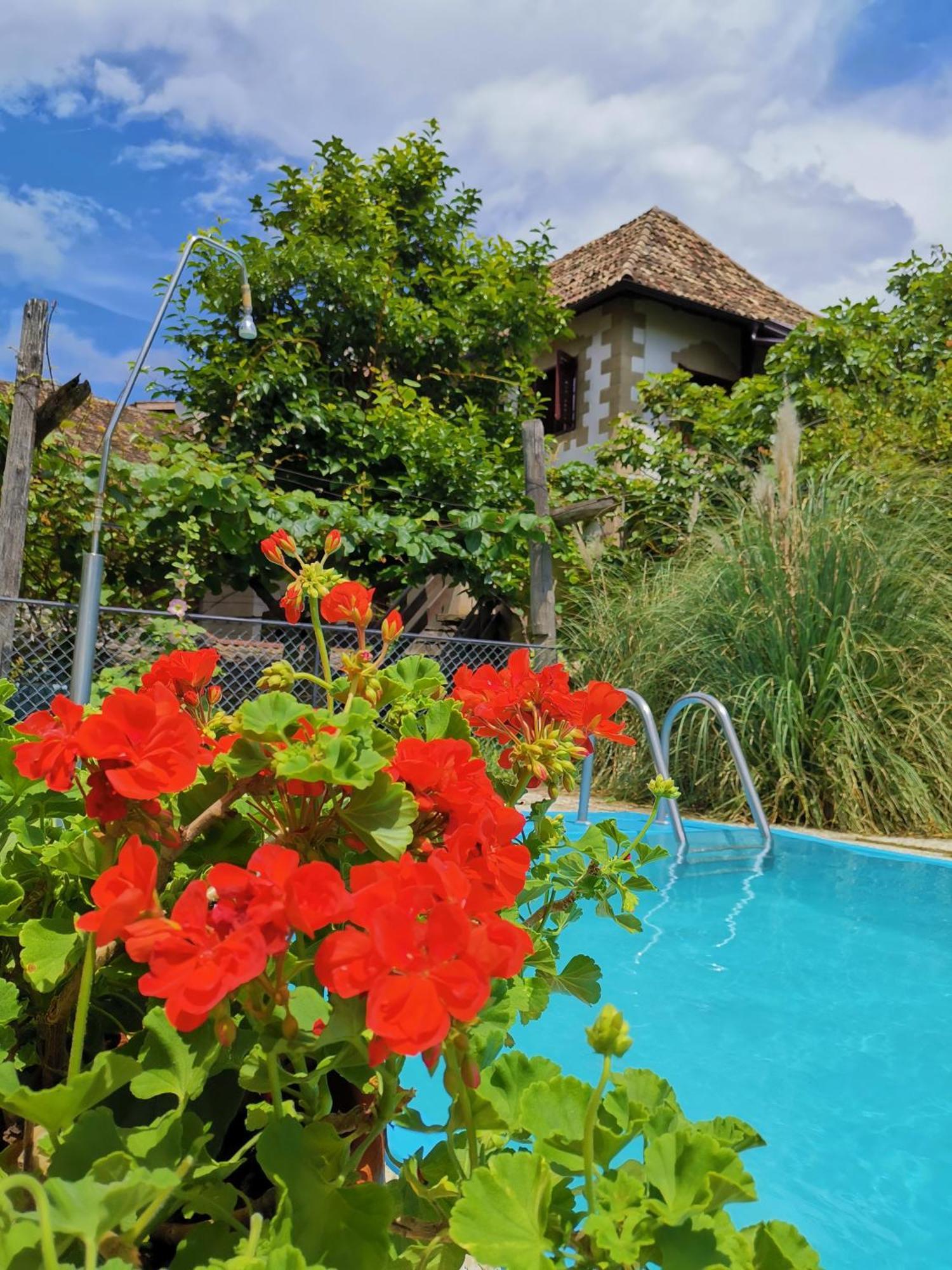 Ansitz Grustdorf Apartment Eppan an der Weinstraße